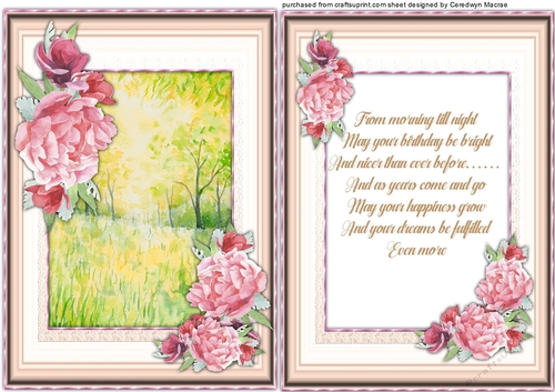 A5, Card and Insert, Deep Pink Roses 