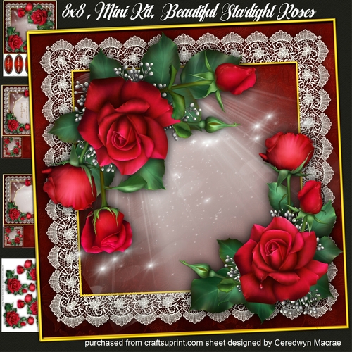 8x8 Mini Kit, Beautiful Starlight Roses 