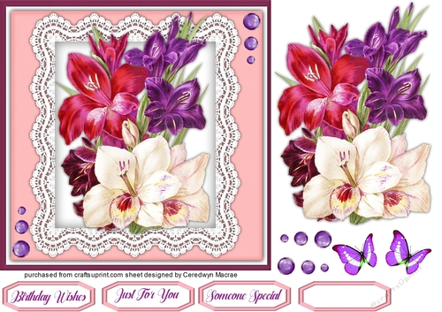 Beautiful Gladiolis on Lace 
