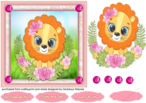 Hawaii Lion