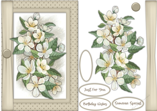 A5, Stunning Blossom