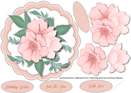 Beautiful Scalloped Pink Roses