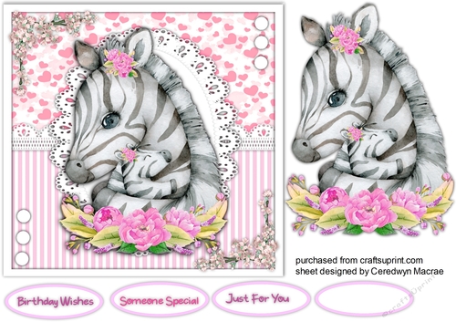 Zebras Love and Cuddles 1