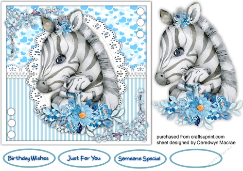 Zebras Love and Cuddles 2