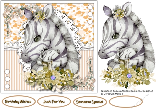 Zebras Love and Cuddles 3