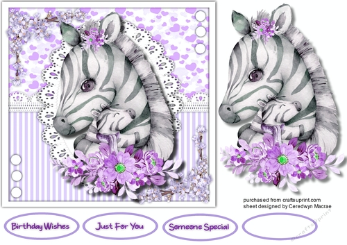 Zebras Love and Cuddles  4