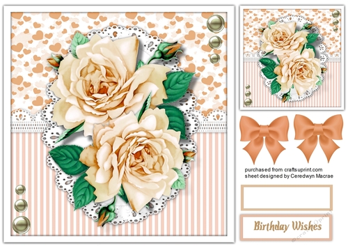 Gorgeous Cream Roses