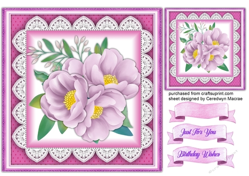 Gorgeous Lilac Dog Roses