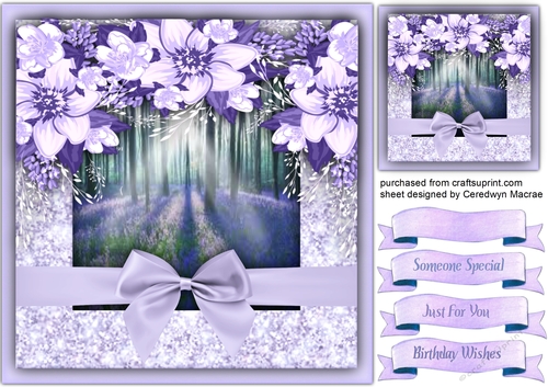  Sunbeams and Bluebells 
