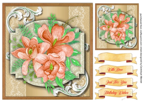 Beautiful Magnolias
