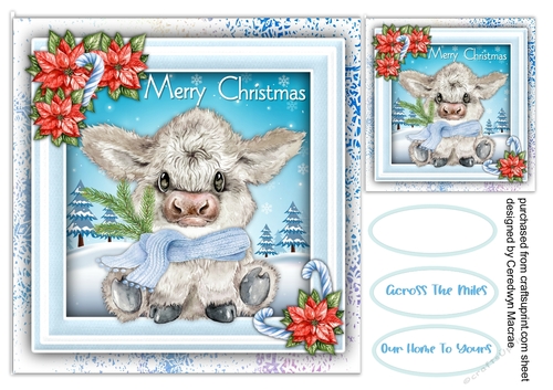 Gorgeous Highland Coo , Blue