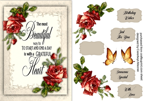 A5, Gorgeous Red Roses and Quote 