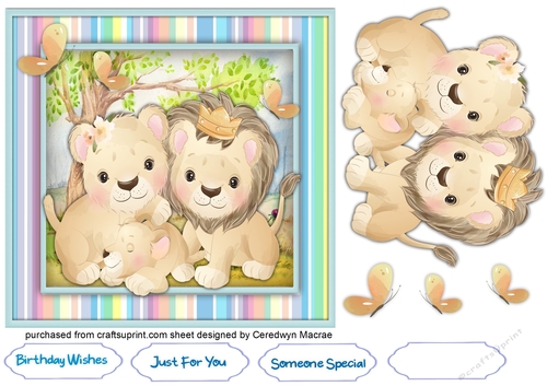 Gorgeous Lion Family 7x7 