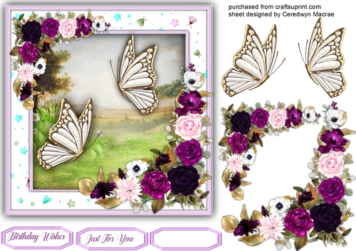 Beautiful Summer Flutters  1