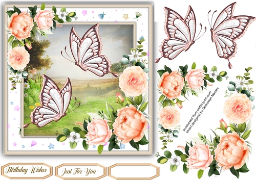 Beautiful Summer Flutters  2
