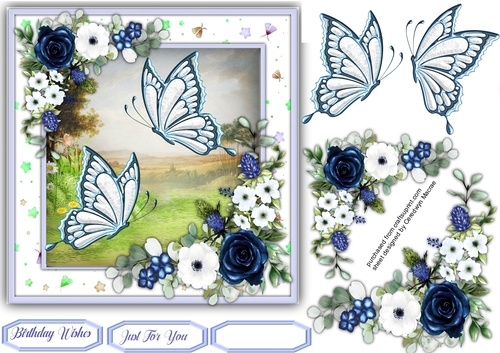 Beautiful Summer Flutters  3