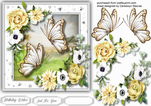 Beautiful Summer Flutters 4