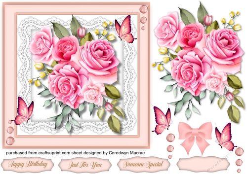 Beautiful Pink Roses on Lace 7x7 