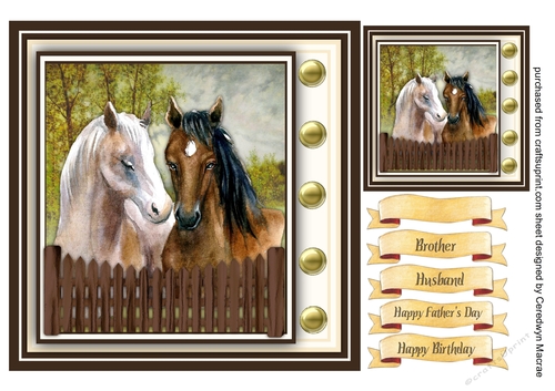 Gorgeous Horses in the Paddock 