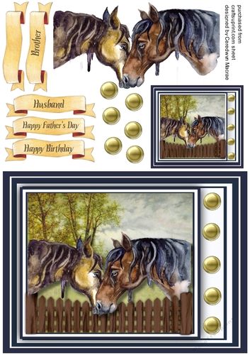 A5 Gorgeous Horses Over The Fence