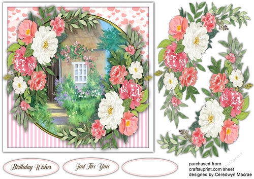 7x7 Beautiful Rose Cottage 