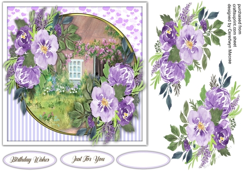 7x7 Beautiful Lilac  Rose Cottage 