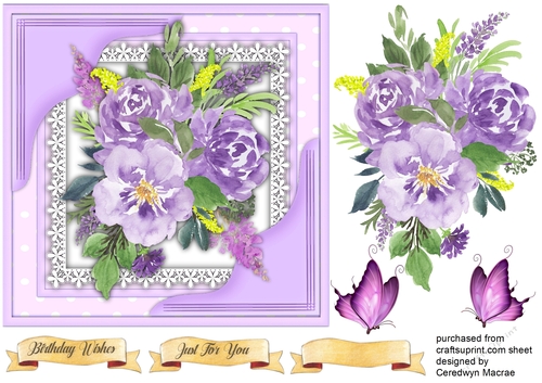 Beautiful Lilac Passion