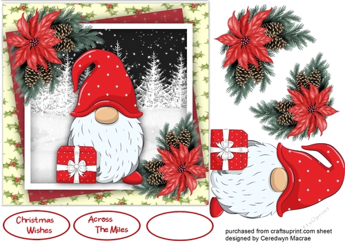 Christmas Gnome with Present