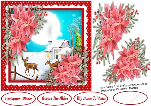 Christmas Blessings