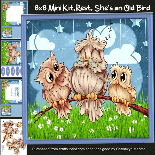 8X8 Mini Kit, Rest, Shes An Old Bird