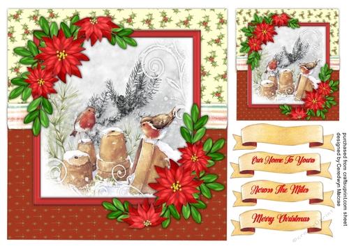 7X7 , Beautiful Robins on the Flower Pots 