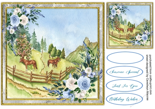Beautiful Meadow Land