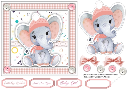 Beautiful Pink Ellie 7x7 