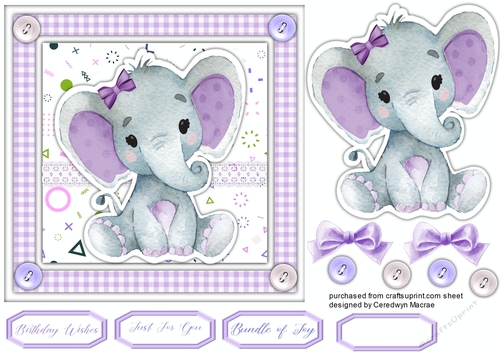 Beautiful Lilac  Ellie 7x7 
