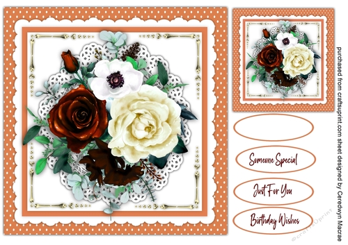 Beautiful Burgandy and White  Roses on lace 