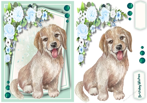  A5 ,Puppy With Aqua Flowers 