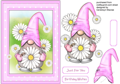 Gorgeous Lilac  Daisy Gnome 