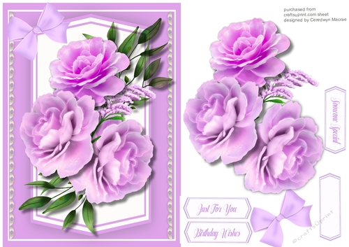A5, Gorgeous Lilac Roses