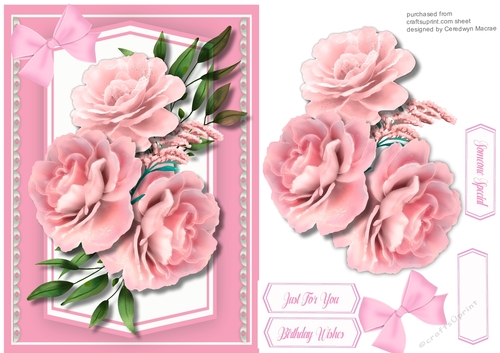 A5, Gorgeous Pink Roses