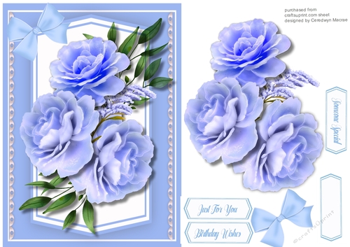 A5, Gorgeous Blue Roses