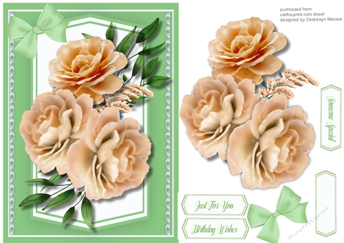 A5, Gorgeous Coffee Roses