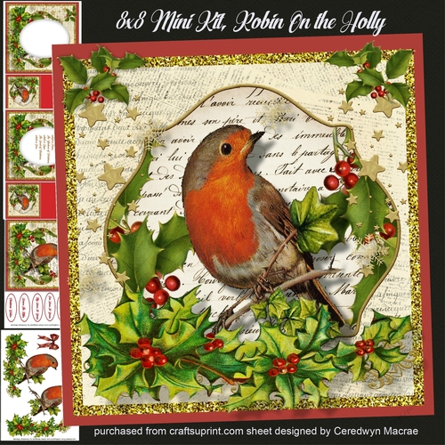 8x8 Mini Kit, Robin on The Holly