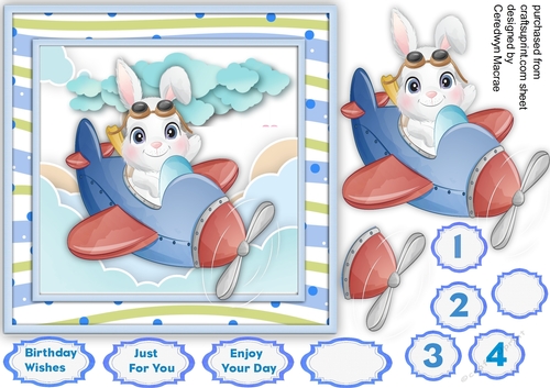 7X7 Rabbits Air Space 
