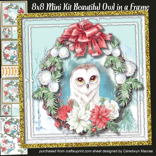 8x8 Mini Kit Beautiful Owl in a Frame 