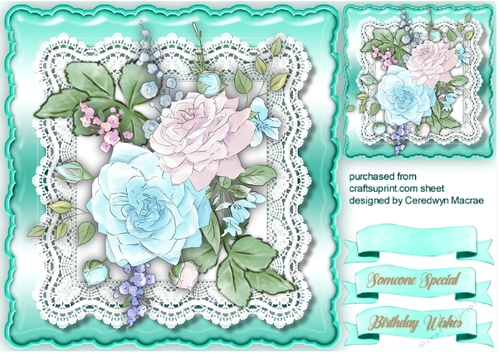 Beautiful Spring Roses
