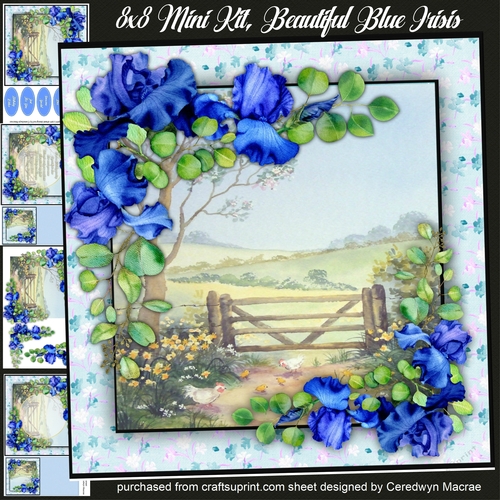 8x8 Mini Kit, Beautiful Blue Irisis
