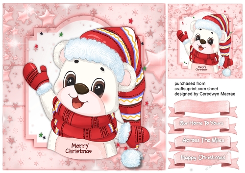 Christmas Pola Bear