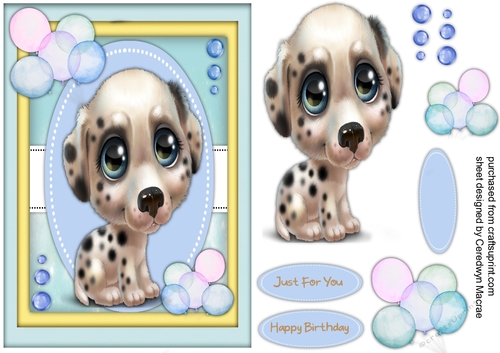Cute Dalmation  Pup