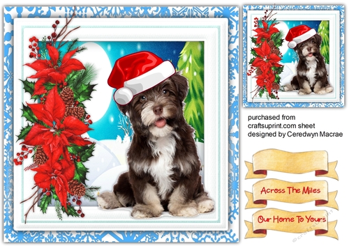 Cutie Dogs Christmas Hat