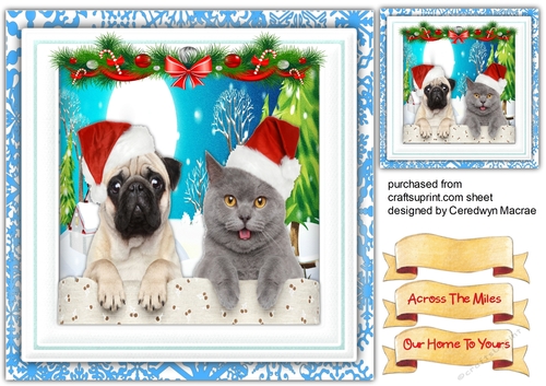 Gorgeous  Christmas Pals